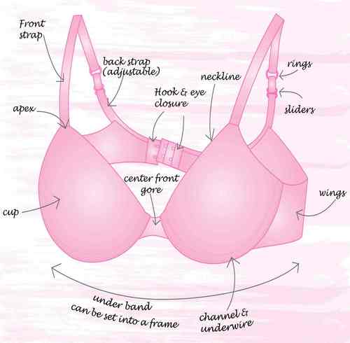 The anatomy of the Love Intimo Bra! How many different parts can you name?
